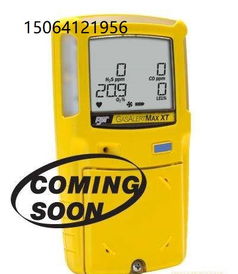 minimaxx4復(fù)合氣體測氧測爆儀